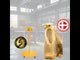 Ravendo Carrello portarifiuti BBST 6